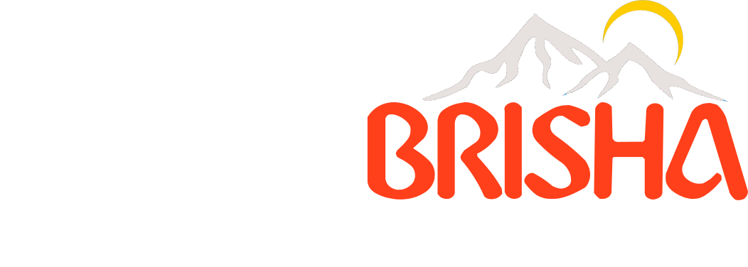 Hotel Brisha