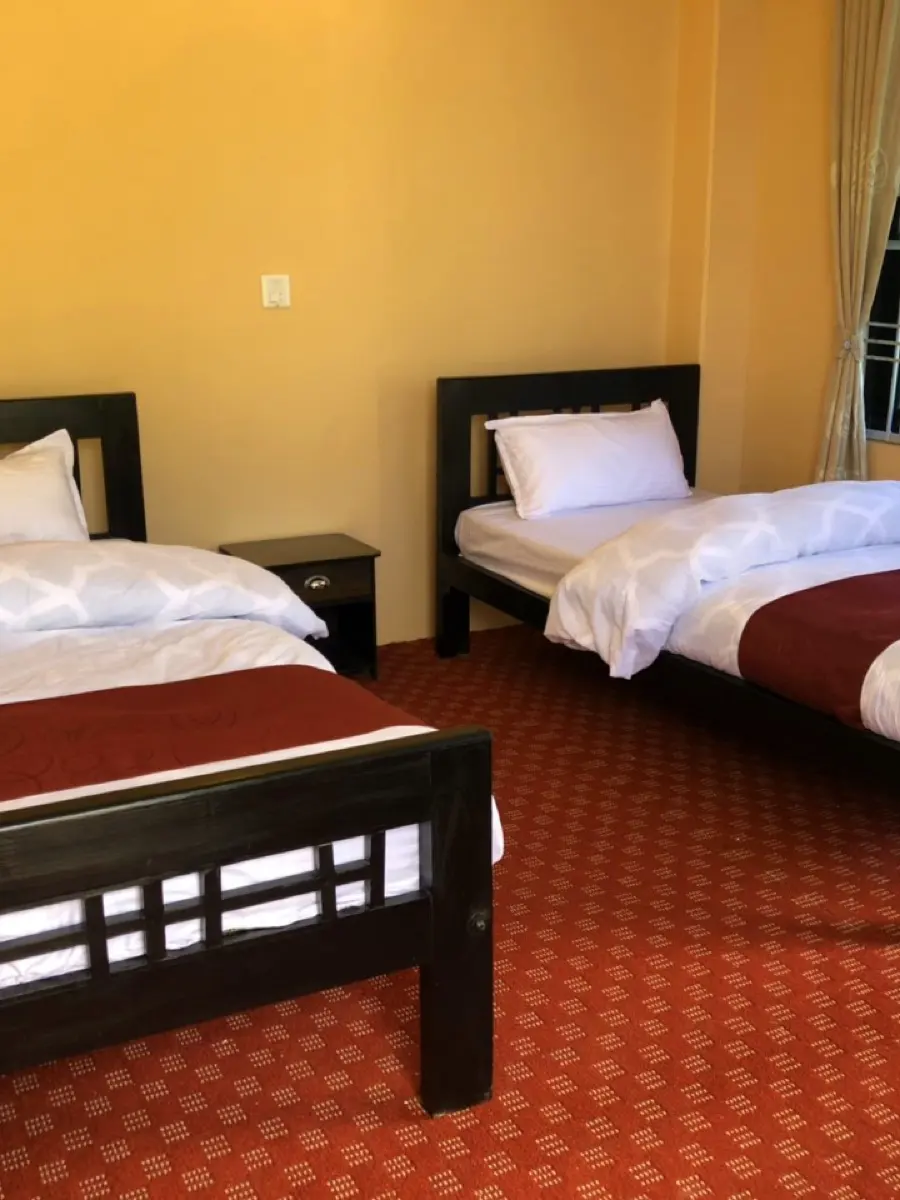 Twin Room at Hotel Brisha